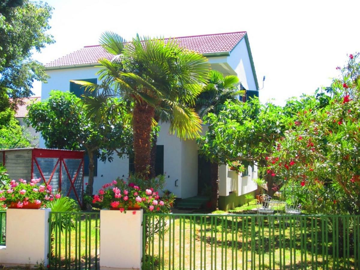 Apartments Fjaka Sveti Filip i Jakov Exterior photo